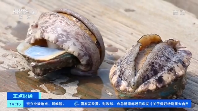 e利博官方网,乳山工信局召开省委巡视反馈意见整改落实专题民主生活会