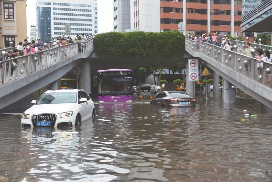 ▲6月8日，广州普降大雨，多地出现积水、内涝。 图片来源：视觉中国