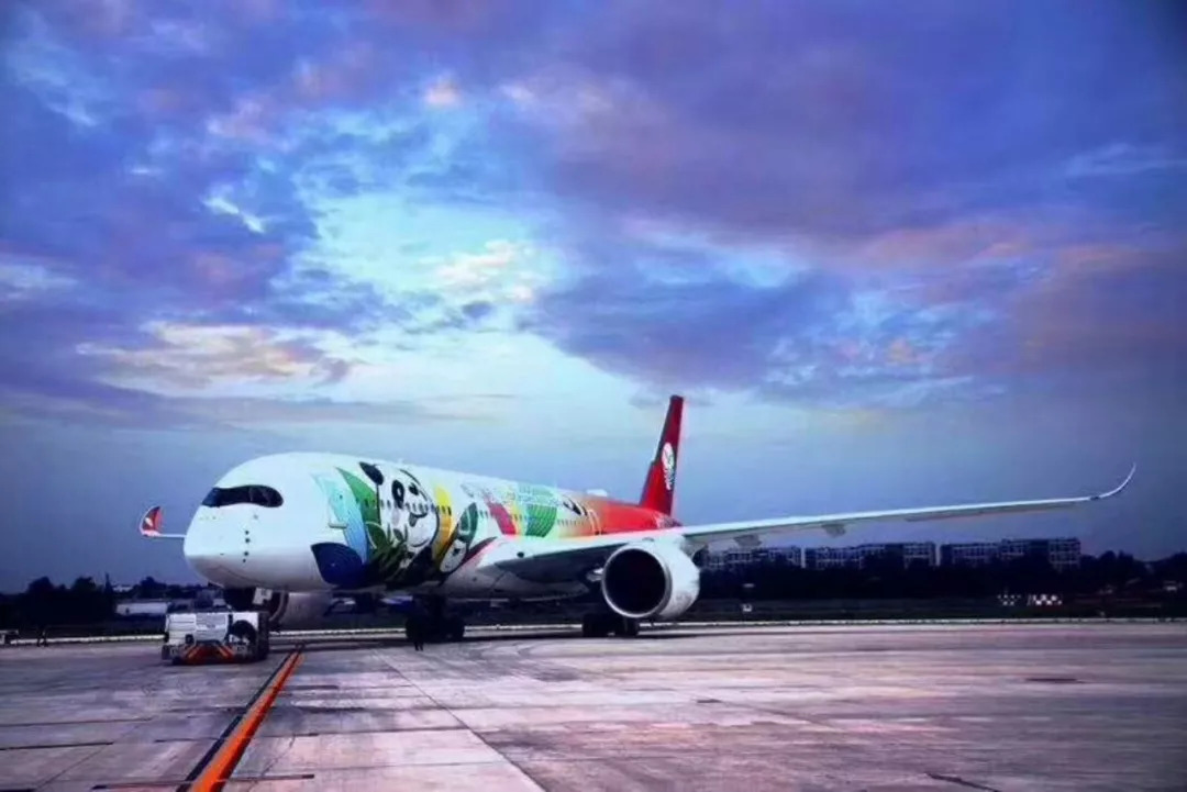网红客机“熊猫墨镜侠”已经来过银川了，你们肯定都没见到!