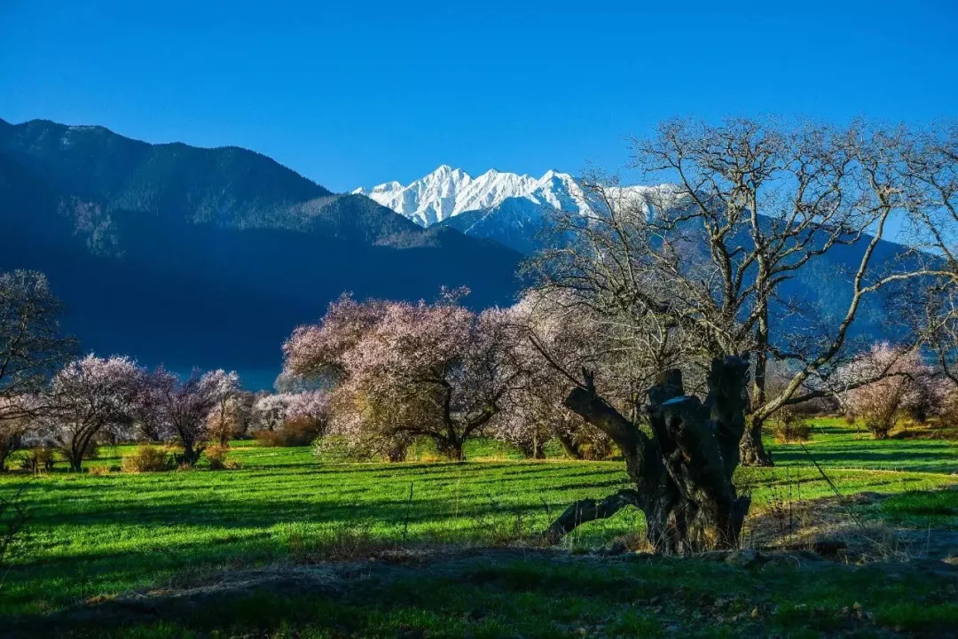 去西藏旅游,一年四季应该穿什么?