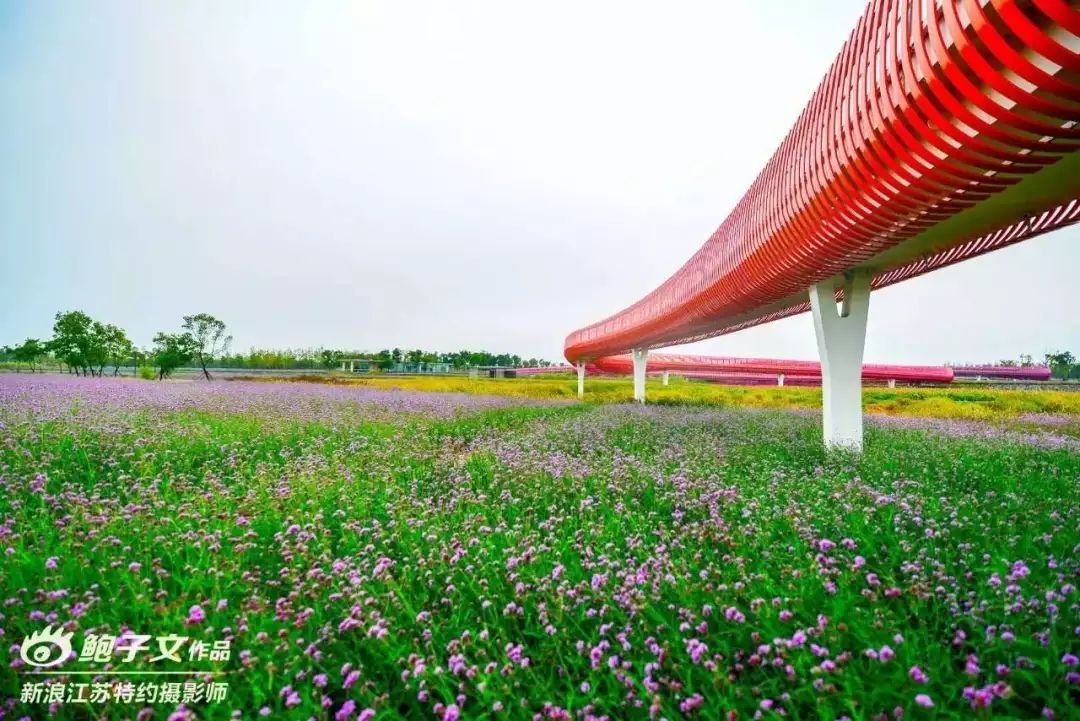 1 衲田花海音乐季·花海欢乐行