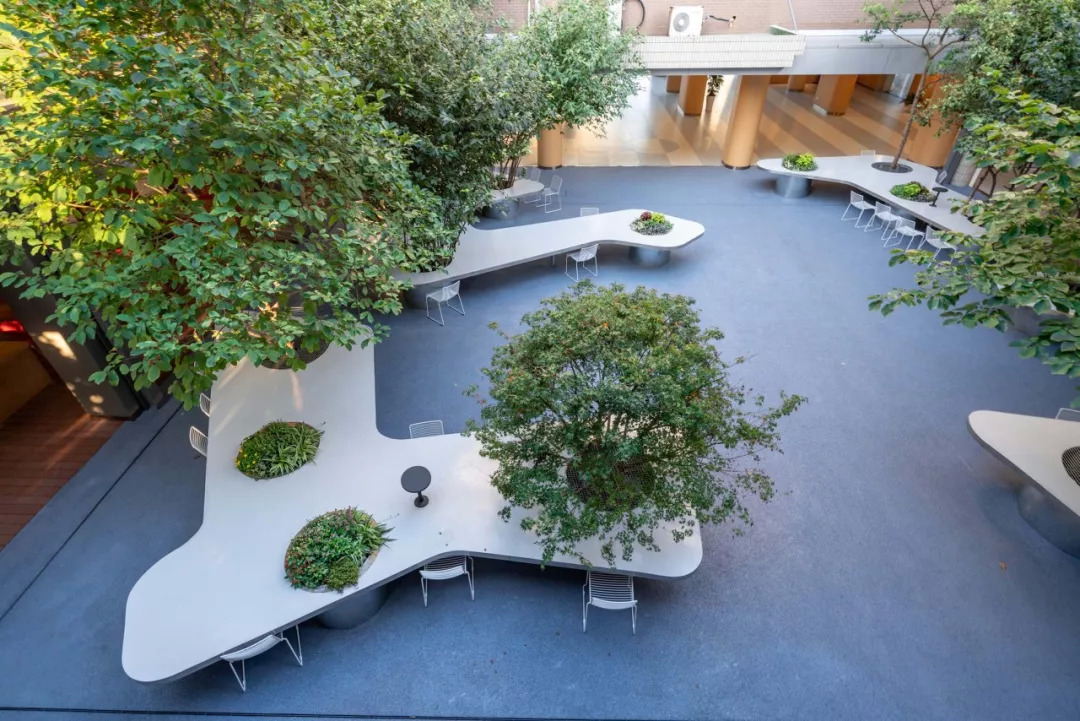 上海实验学校改造后的庭院——树桌花园|绿地|庭院|花园_新浪新闻