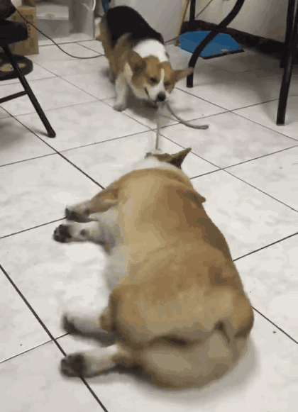 这年头男女关系要搞好啊 女朋友生气了都这样的 ▽ 以上是错误范例