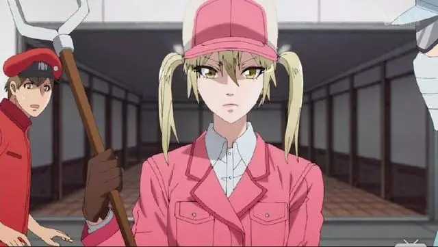 刚上完江西卫视又被人民日报点名,新番《工作