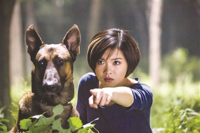 看《神犬奇兵 秀自家"萌犬"赢大奖