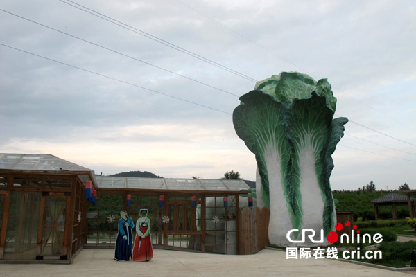 和龙人口_学者:东北收缩城市逐步从县和县级市蔓延至百万规模的地级市(2)