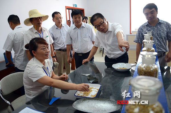 湖南创新早稻收购 实行两次清杂网银结算|早