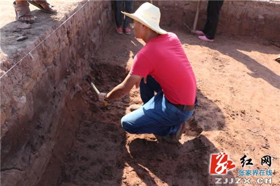 图片版权归原作者所有