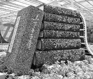 工科男建农博会微信公众号|农博会|微信|公众