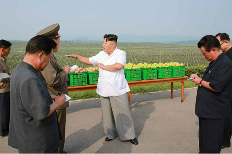 金正恩视察大同江果树综合农场 称赞水果大丰