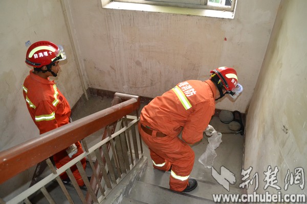 十堰一小区楼道惊现蛇群 消防官兵及时抓获放