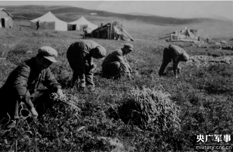 日媒:中国全方位挑战美军 导弹项目威胁巨大|中