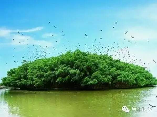 美城|广东21城中,她是一个童话,更是一个传奇…