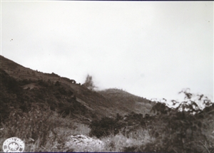滇西雪耻终非梦 国难岂容髀肉生|日军|松山|中国