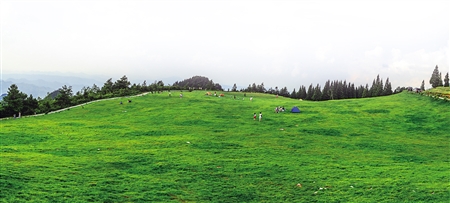 露营遛马看星星 云阳岐山草场避暑纳凉耍事多