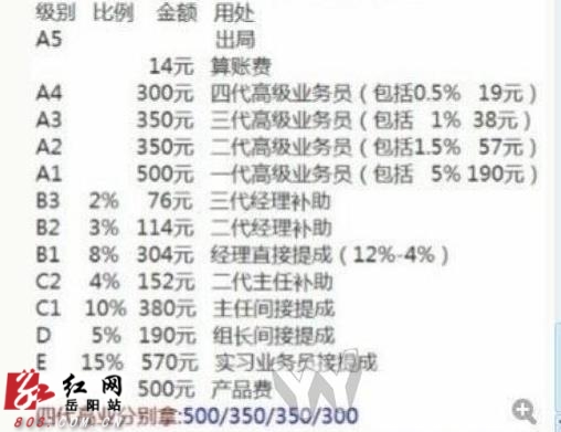 岳阳受害人揭秘传销高层内幕|先生|老总|国家