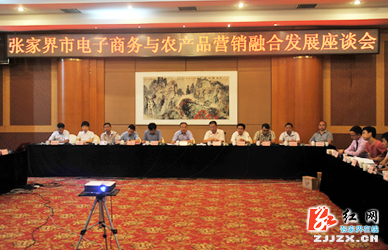 张家界市助推电子商务与农产品营销融合发展|