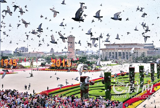 珍爱和平历史是人类最好的老师