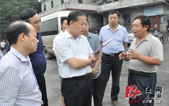 双峰县委副书记,县长杨维督查安全生产工作