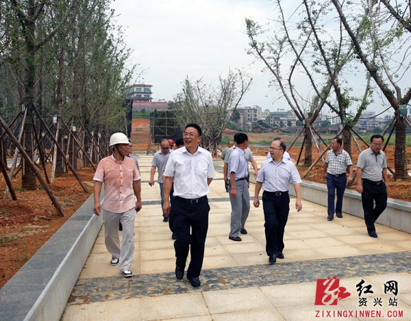 资兴市委书记陈荣伟督查重点民生工程