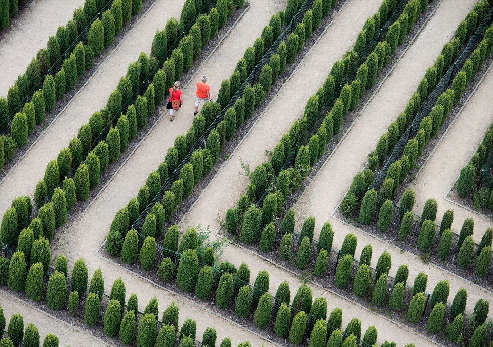 盘点世界上最不可思议的迷宫(高清组图)|迷宫|网