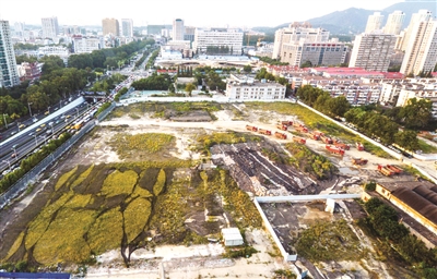 图片版权归原作者所有