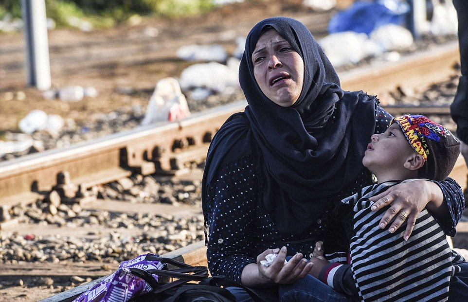 匈牙利设置巨大铁丝网封锁边境阻止难民入境(