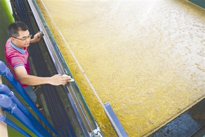 工业废水就近处理 治污成本降三成