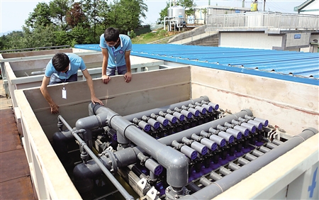 创新次第花开:让金点子生根发芽|科技|技术|创新