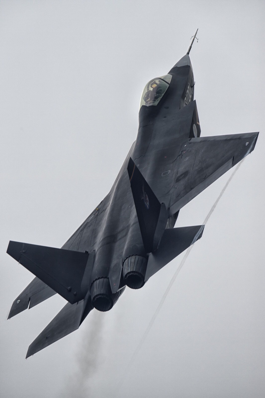 中国歼31隐形战机首次走出国门 亮相迪拜航展