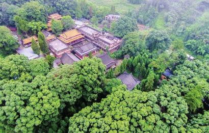 金秋到荥经 游云峰山 采猕猴桃 体验砂器|荥经|荥经县|云峰山_新浪