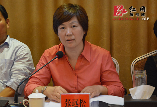 靖州县重点项目重要工作推进会召开