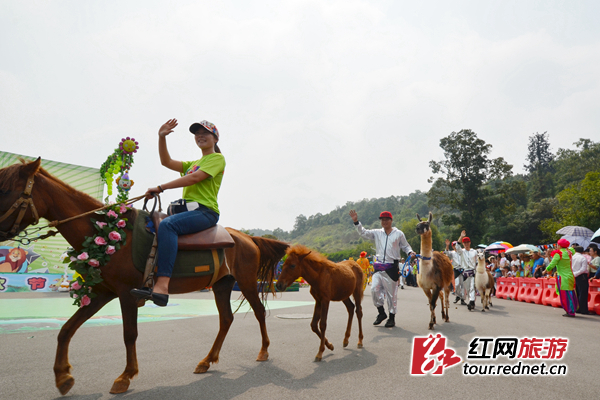 长沙动物狂欢节将贯穿10月 萌主盛装开PARTY