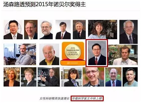 诺奖热门王中林是什么样的科学大牛?|王中林|纳