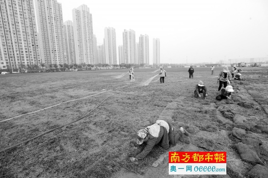 天津组织房企为爆炸受灾群众提供房源|天津|群