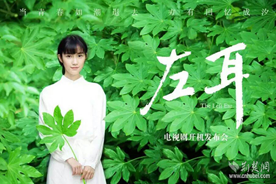 剧版《左耳》浙江舟山开机 全体演员大曝光(图