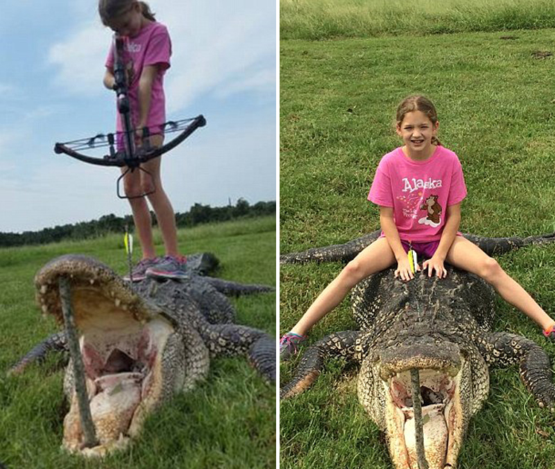霍克已经有多年的狩猎经验，她利用弓弩瞄准鳄鱼头部，令其丧失行动能力，并将其当场射杀。（网页截图）
