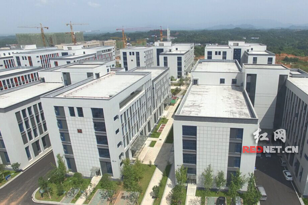 浏阳经开区:从幼儿园到高中学费全免购房有补