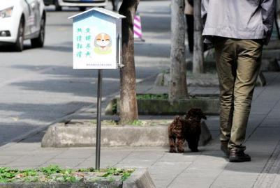 宠物便便纸取用点变成路人垃圾箱|宠物|市民