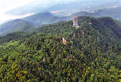 缙云县有多少人口_42条建议,给要来缙云的你