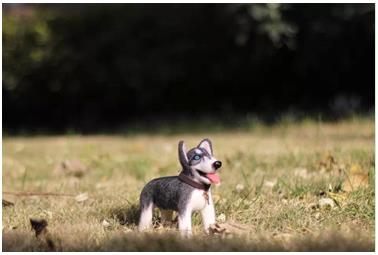 world China 周四隆重开幕 场面盛大热闹|办公用