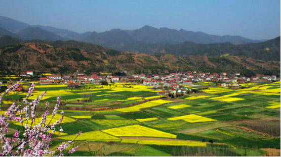 有机农业牵手休闲旅游 火了南漳周末游_fina