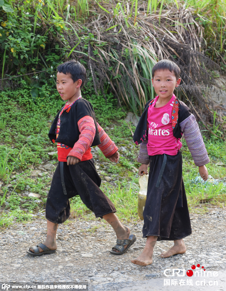 图片故事:越南赫蒙人儿童带刀放牛|越南|图片|少