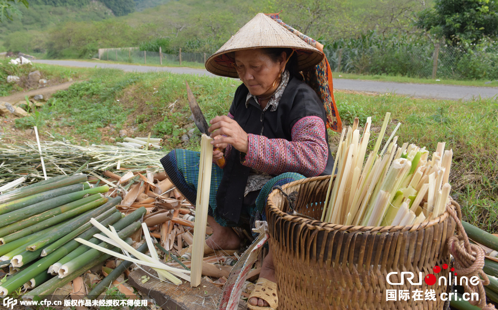 图片故事:越南赫蒙人儿童带刀放牛|越南|图片|少