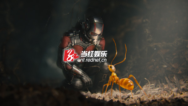观影报告：最小超级英雄《蚁人》登场 画风不寻常
