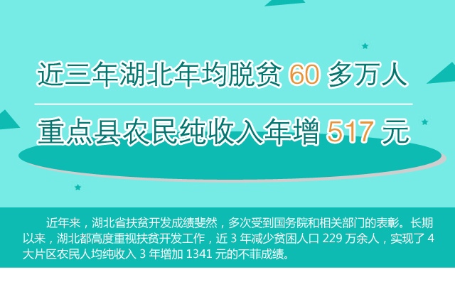 湖北省脱贫人口人均纯收入_湖北省人口统计图