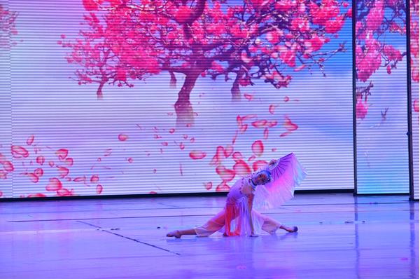 闪耀中国星2015少儿舞蹈超级联赛总决赛圆满