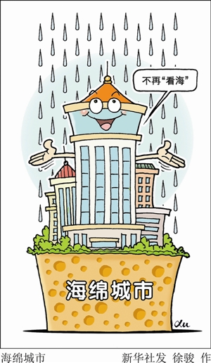 向下雨到深圳看海说不|水污染|政府|深圳