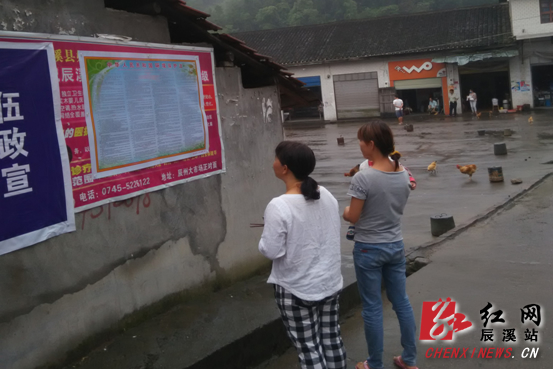 辰溪400余份环保宣传挂图进村入组|环保局|环