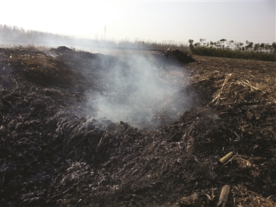 头把火又烧在新沂,乡镇齐喊冤|雾霾|税收|政府